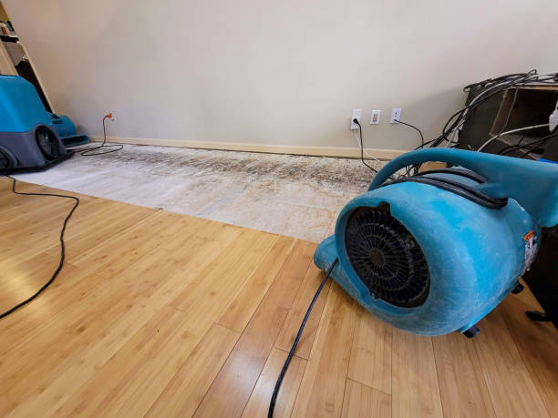 Professional Basement Flood Cleanup technician working in Moxee, WA
